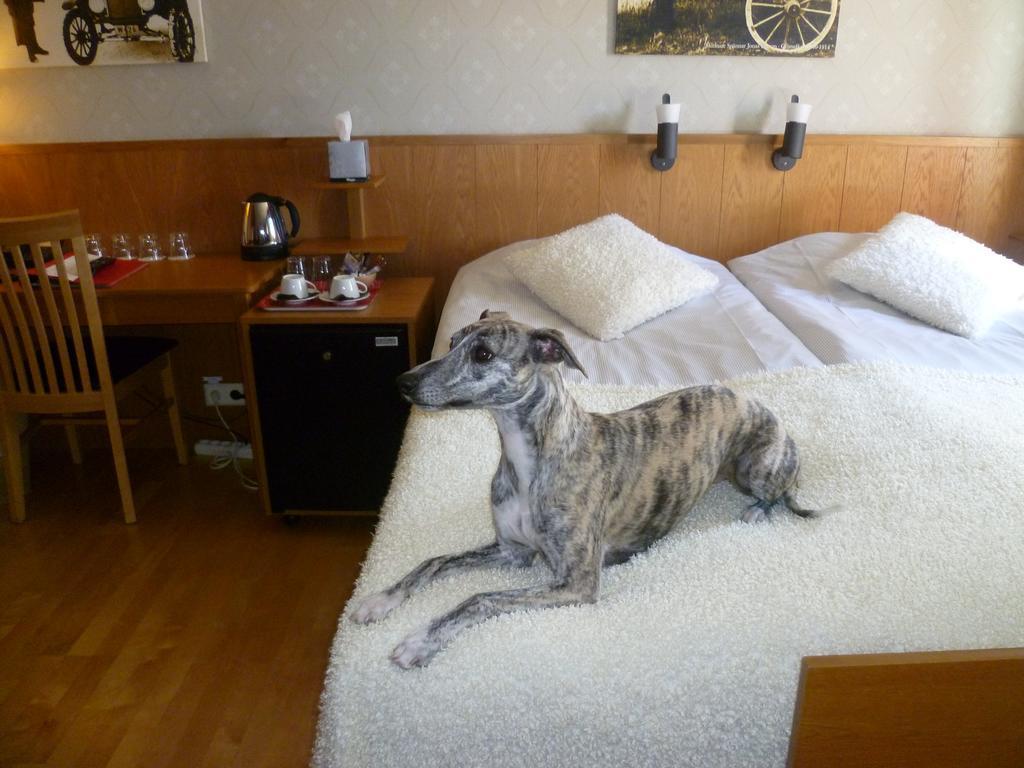 Sankt Olof Hotell & Krog มาลุง ภายนอก รูปภาพ